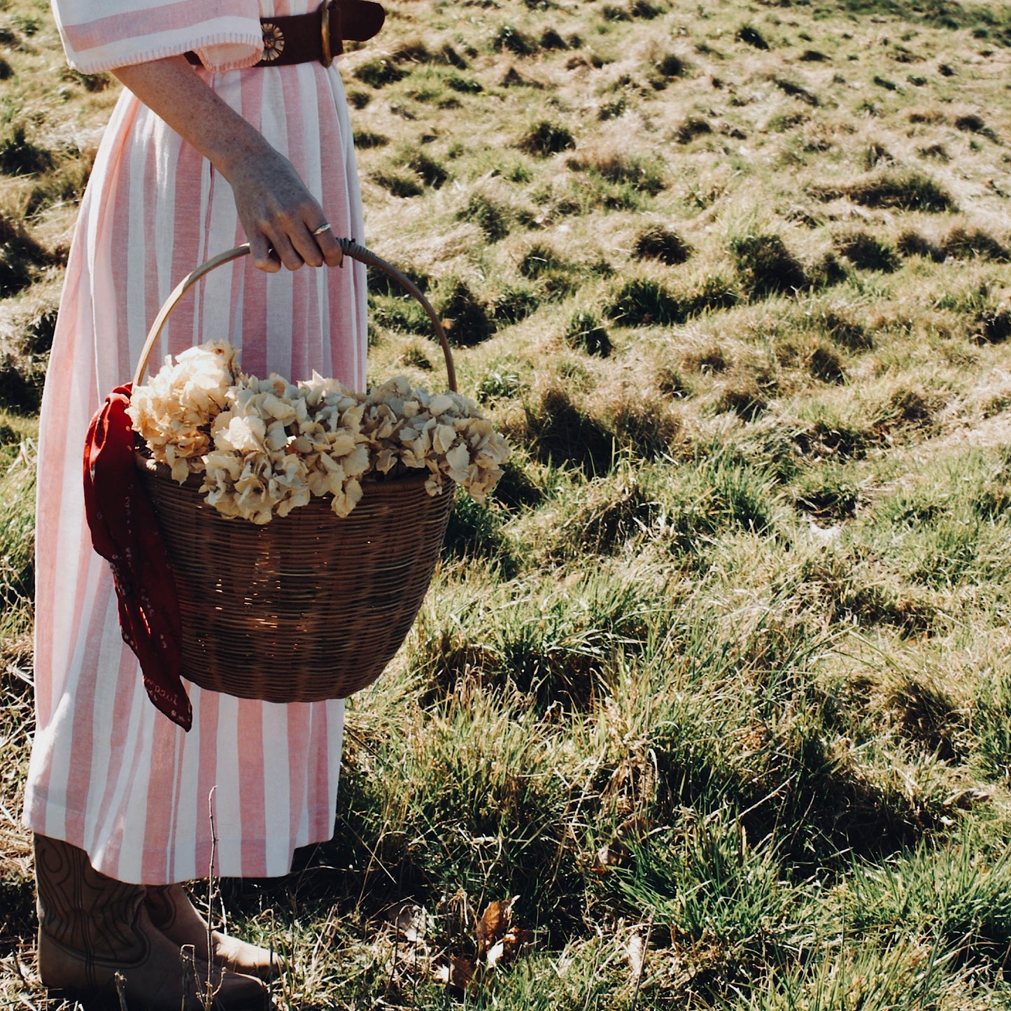 Margot dress in candy striped cotton with angel sleeves and tie belt.